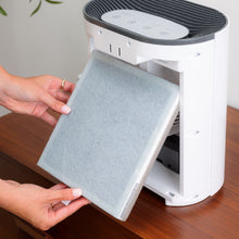 Load image into Gallery viewer, PureZone™ True HEPA Air Purifier (PEAIRPLG) - Replacement Filter - Replace Your Filter