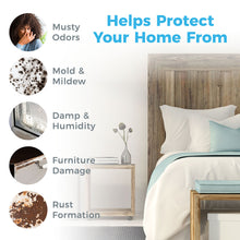 Load image into Gallery viewer, PureDry™ Deluxe Dehumidifier | Pure Enrichment®
