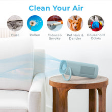 Load image into Gallery viewer, PureZone™ Mini Portable Air Purifier | Pure Enrichment®