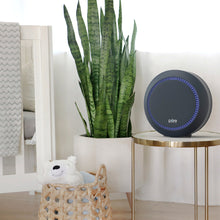 Load image into Gallery viewer, PureZone™ Halo True HEPA Air Purifier - Graphite