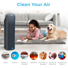 Load image into Gallery viewer, PureZone™ Elite 4-in-1 True HEPA Air Purifier,  Graphite | Clean Your Air