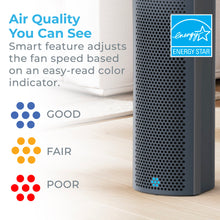 Load image into Gallery viewer, PureZone™ Elite 4-in-1 True HEPA Air Purifier, Graphite| Air Quality You Can See