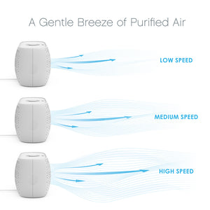 PureZone™ Breeze Tabletop Air Purifier