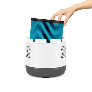 MistAire™ Eva 4-Speed Evaporative Humidifier - Pure Enrichment® Official Site