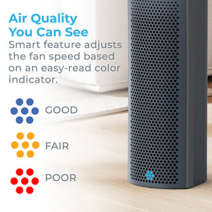 PureZone™ Elite 4-in-1 True HEPA Air Purifier - Graphite | Air Quality You Can See