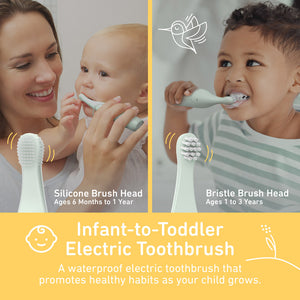 PureBaby Infant-to-Toddler Electric Toothbrush - Sage Green Pure Enrichment PureBaby Infant-to-Toddler Electric Toothbrush - Sage Green Pure Enrichment