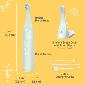 PureBaby® Infant-to-Toddler Electric Toothbrush - Sage Green - What’s In The Box And Product Dimensions