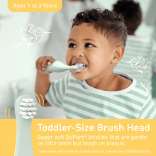 Load image into Gallery viewer, PureBaby® Infant-to-Toddler Electric Toothbrush (PEBBYBSH-SG) - 2-Pack Replacement Bristle Brush Heads - Toddler-Size Brush Head - Super Soft DuPont Bristles That Are Gentle On Little Teeth But Tough On Plaque