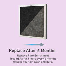 Load image into Gallery viewer, PureZone™ Kids Bear Air Purifier (PEAIRBER) - Replacement Filter - Replace Pure Enrichment True HEPA Air Filters Every 6 Months To Keep Your Air Clean And Pure.