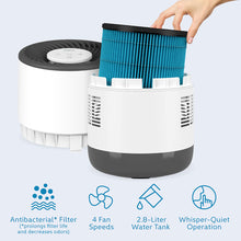 Load image into Gallery viewer, MistAire™ Eva 4-Speed Evaporative Humidifier | Antibacterial* Filter (*Prolongs Filter Life And Decreases Odors), 4 Fan Speeds, 2.8-Liter Water Tank, And Whisper-Quiet Operation
