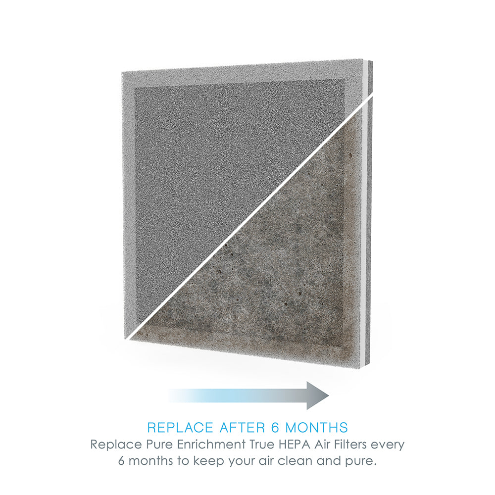 Load image into Gallery viewer, PureZone™ Air Purifier Replacement Filter | Genuine Pure Enrichment® Replacement Filter