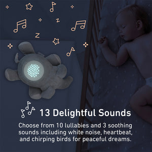 User manual Bright Starts Sea Dreams Soother (English - 20 pages)